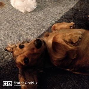 Meet your Posher, Jay